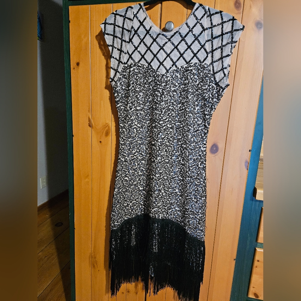 Unique Vintage 1920s Inspired Flapper Dress
